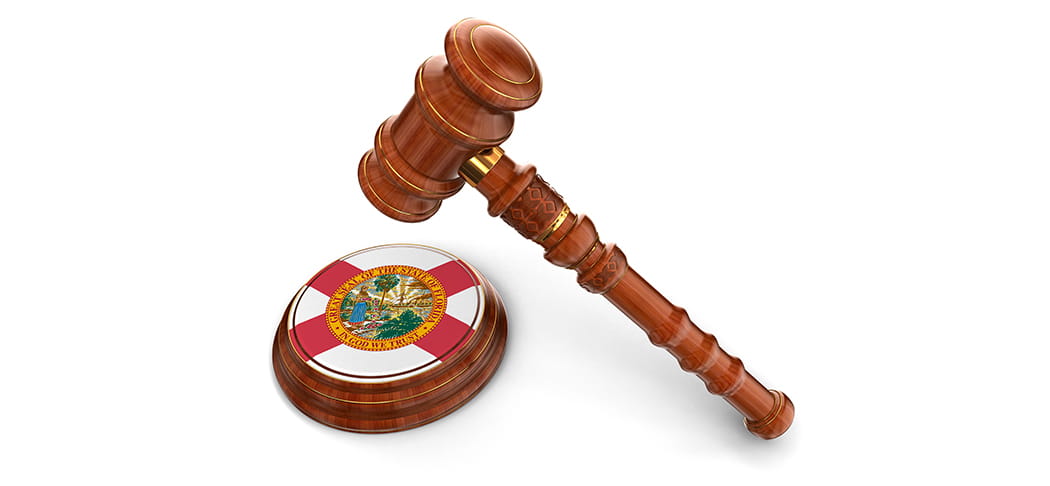 A gavel and the state flag.