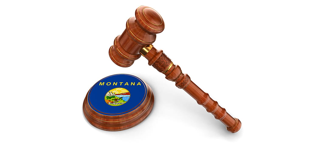 A gavel and the state flag.