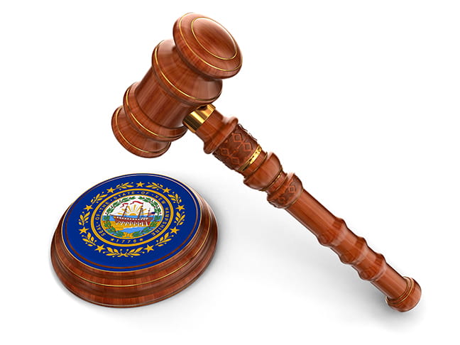 A gavel and the state flag.